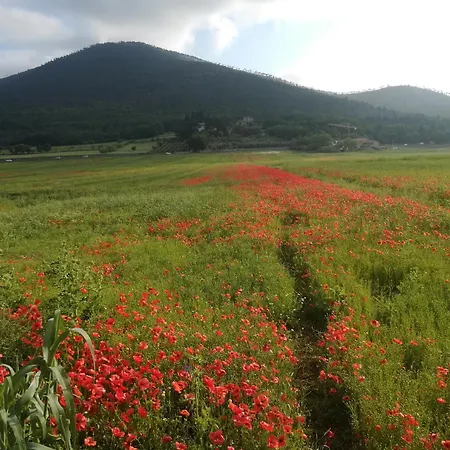 Al Castello מונטמורלו